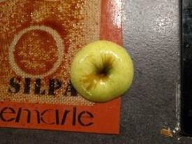 Huiler la partie supérieur d'une pomme et venir y déposer une tuile de caramel chaude