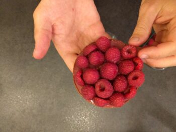 Garnir de framboises fraîches
