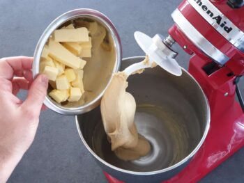 Stopper le pétrissage et ajouter le beurre