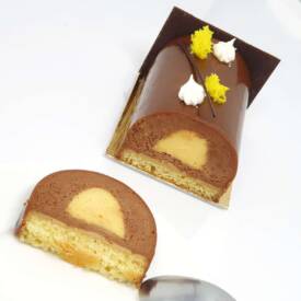 Recette de la bûche Chocolat au lait & Fruit de la passion