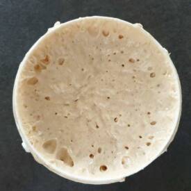 Levain liquide maison, prêt à être utilisé