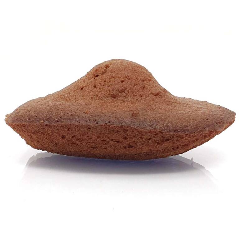 Madeleine au chocolat