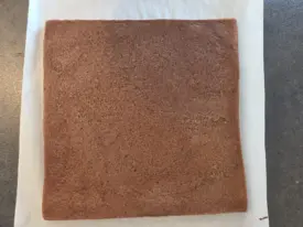 biscuit chocolat pour entremets