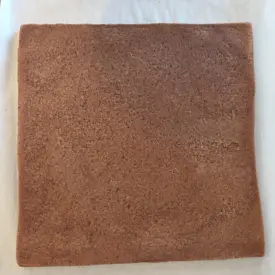 biscuit chocolat pour entremets
