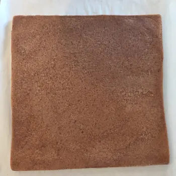 biscuit chocolat pour entremets