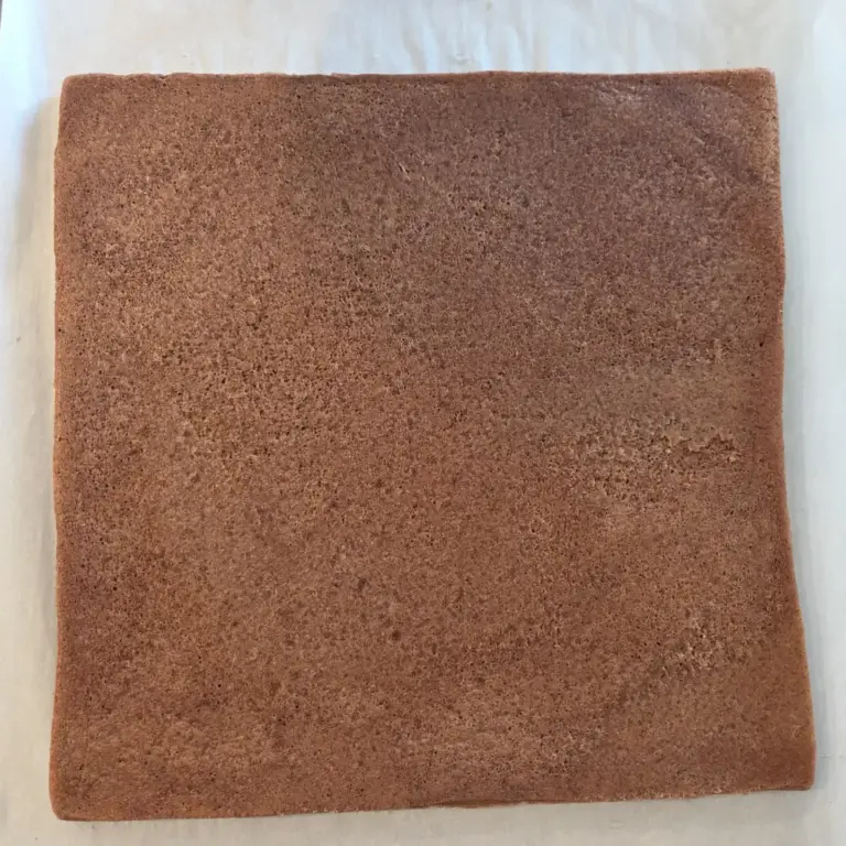 biscuit chocolat pour entremets