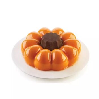Moules en silicone pour entremets